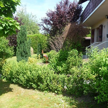 L'Oasis Hotel Évian-les-Bains Eksteriør billede