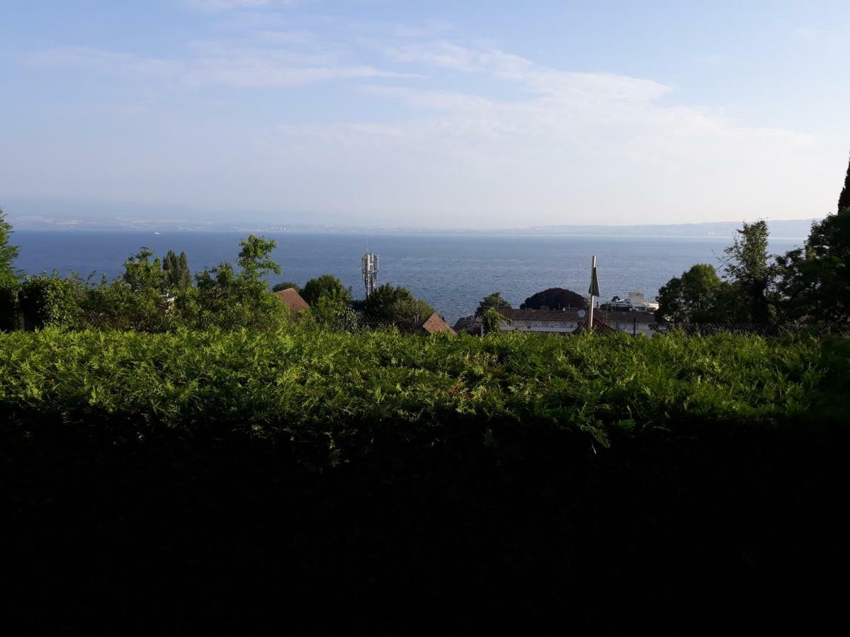 L'Oasis Hotel Évian-les-Bains Eksteriør billede